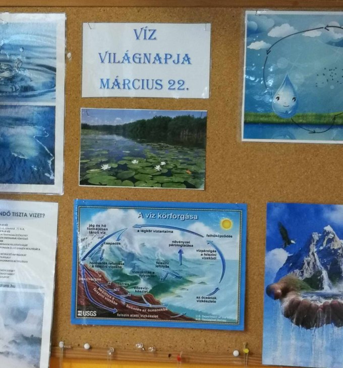 Víz világnapja 